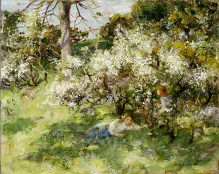 Fioritura di prugnolo